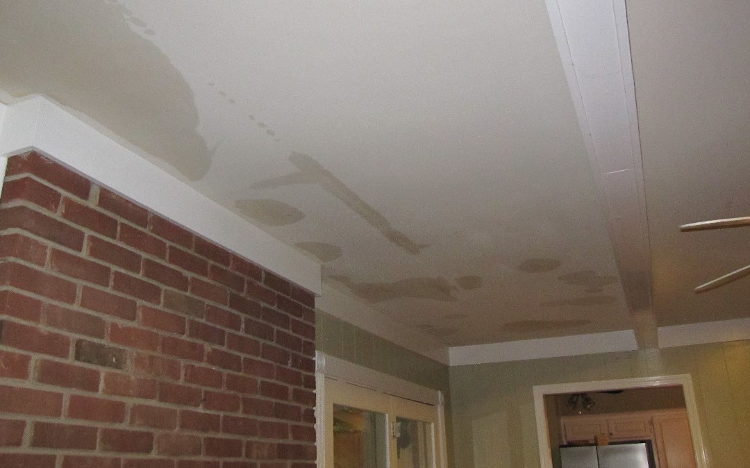 Why You Shouldn’t Ignore Water Damage & What To Do If You Find It